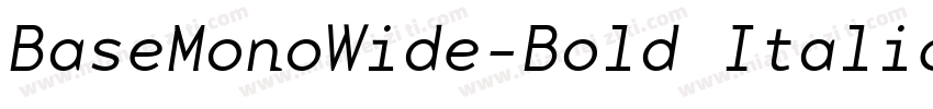BaseMonoWide-Bold Italic字体转换